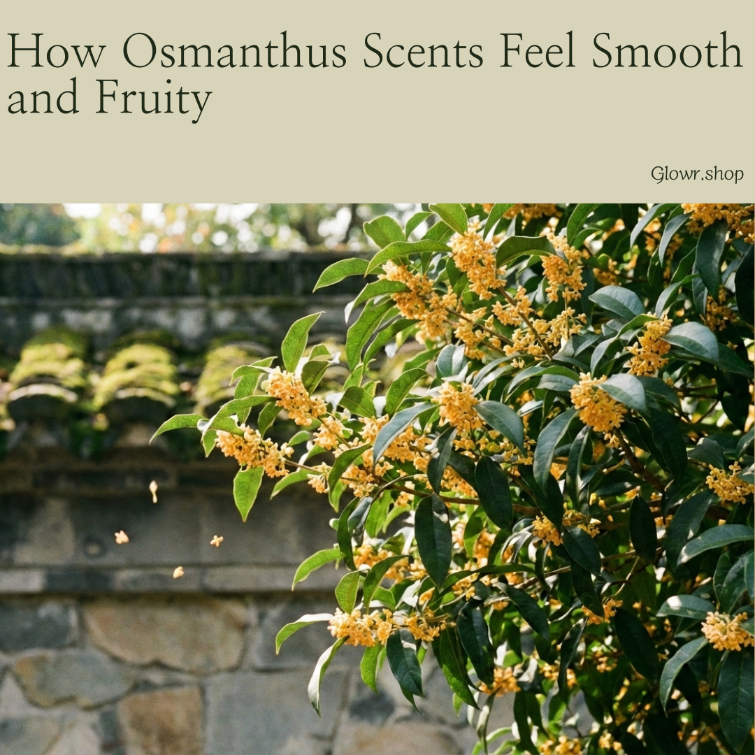 How Osmanthus Scents Feel Smooth and Fruity