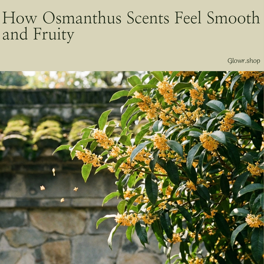 How Osmanthus Scents Feel Smooth and Fruity