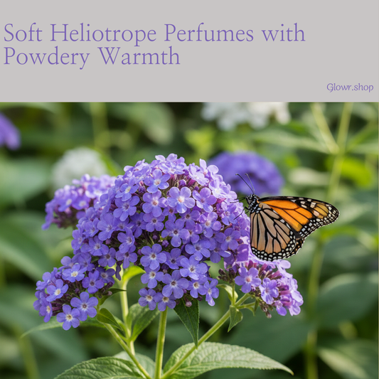 Soft Heliotrope Perfumes with Powdery Warmth