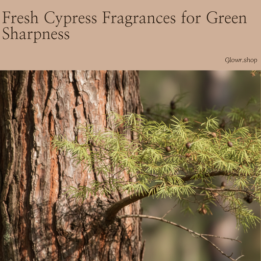 Fresh Cypress Fragrances for Green Sharpness