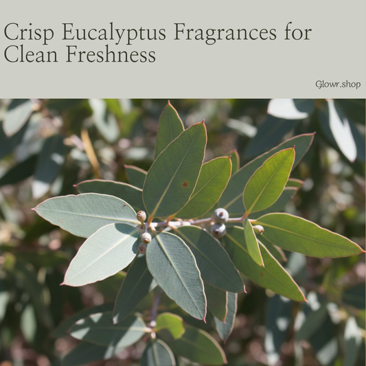 Crisp Eucalyptus Fragrances for Clean Freshness